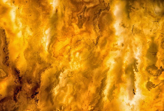 Strong backlighting enhances the color and chaotic structural depth of a Graveyard Point plume agate slice; from Oregon