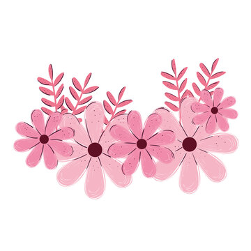 pink flowers garden decoration icon vector illustration design