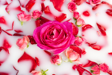top view of pink flower near roses in milky water