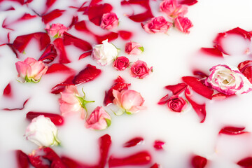 top view of red rose petals and pink flowers in milky water