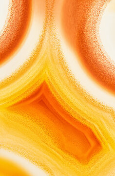 Backlighting enhances the color and detail in this agate slice