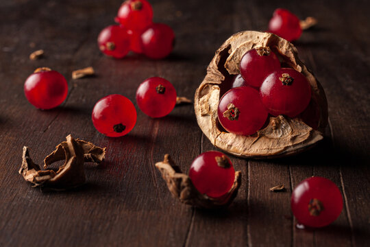 Still life composition with ripe red pomegranate seeds arranged in walnut shells on dark wooden background