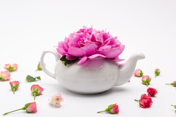 pink flower in porcelain teapot near small tea roses on white