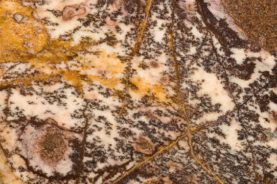 Macro photograph of a slab of polished Outback jasper from Western Australia. Jasper is a form of chalcedony.
