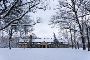 white snow has reached in the park and behind large linden tree trunks there is an old abandoned wooden manor