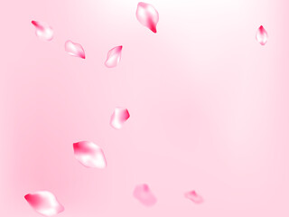 Spring tree flowers parts, airy flying petals