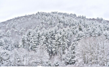 A scene in the Winter in Massachusetts.