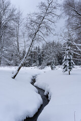 a large layer of thick snow along both sides of the stream where there is water in the middle of the stream and there are trees along the sides
