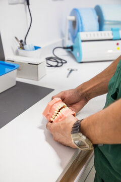 Cropped unrecognizable dentist holding dental cast in dentistry laboratory