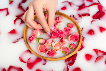 cropped view of woman holding tea rose near bowl with milky water