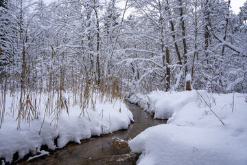a lot of white fluffy snow has fallen and everything is covered with white but clear radiant water flows in the middle