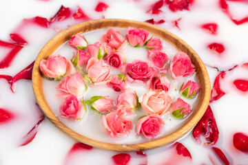 top view of pink tea roses in wooden bowl in milky water