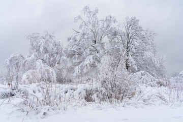 Stunning winter scenes along the shores of the Upper Zurich Lake (Obersee) between Hurden (Schwyz) and Rapperswil-Jona, St. Gallen, Switzerland