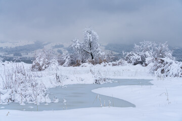 Stunning winter scenes along the shores of the Upper Zurich Lake (Obersee) near Rapperswil, St. Gallen, Switzerland