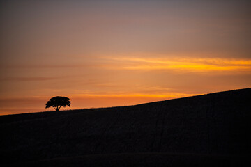Backlight of mount and tree at sunset. High quality photo.