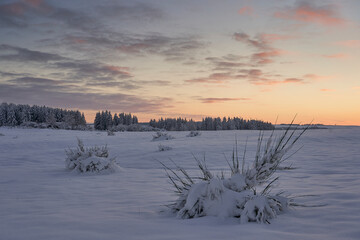 Fresh snow at sunset with beautiful dramatic sky in Eifel Nationalpark 