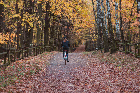 cycling in the forest in autumn