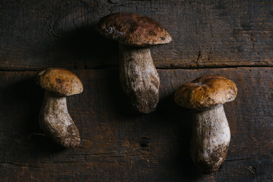 From above fresh Penny Bun mushrooms on wooden table in rustic kitchen