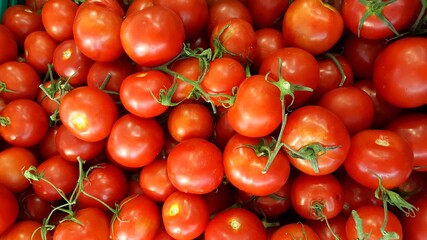 beautifully displayed organic locally produced tomato