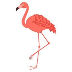 cute flamingo kids illustration drawing for books magazines learning cards africa animals
