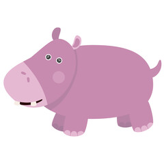 cute hippo childrens illustration drawing for books magazines learning cards africa animals