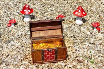 Open chest with gold coins