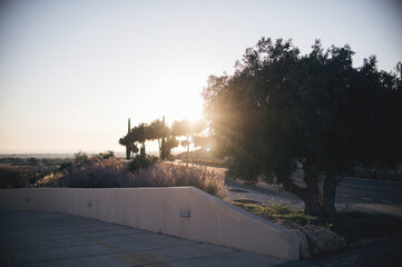 sunset in the city