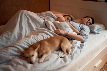 Loving couple of lesbian females lying in bed under blanket with dog while sleeping in morning at home