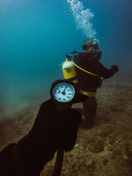 Unrecognizable divers studying depth of ocean and vegetation at bottom