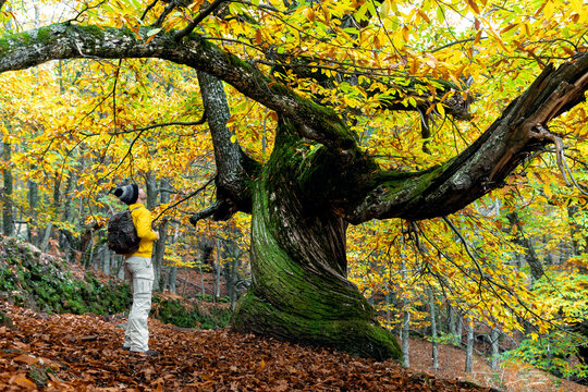 Side view of anonymous male tourist standing near tree in autumn park and enjoying freedom