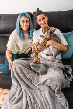 Tattooed young girlfriend sitting with hairless Sphynx cats while chilling on sofa at home together looking at camera