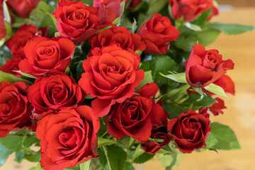 red rose flowers