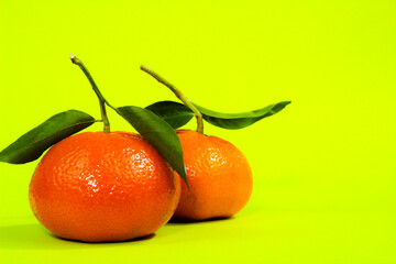 Two tangerines with green leaves on green background