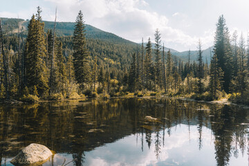 Green Lush Trees at Colorado Alpine Lake