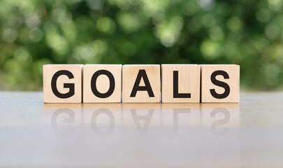 GOALS word written on wooden blocks. The text is written in black letters and is reflected in the mirror surface of the table. Business concept for your design.