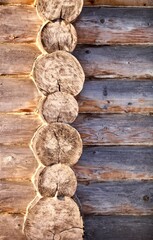 Frame of the wooden log house. Log cabin made from Kelo. A corner of an arctic pine log house. The walls of the log house made from Kelo. Saw cut of an arctic pine trunk close-up. Tree rings close-up.