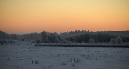Frosted sunrise, northern plains of Germany