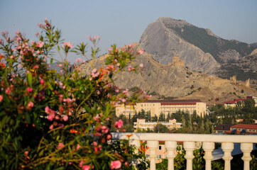 view of the city of flowers, mountains above the sea city