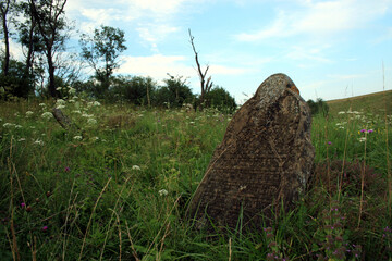 Old jewish cemetery in Lutowiska village, Bieszczady Mountains, Poland
