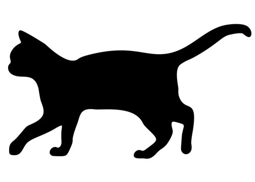 The black cat walks. Vector image.