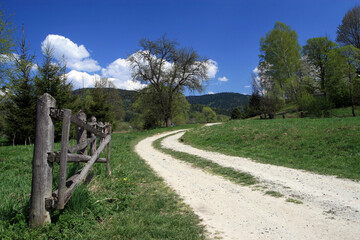 Path in small village - Michniowiec, Bieszczady Mountains, Poland