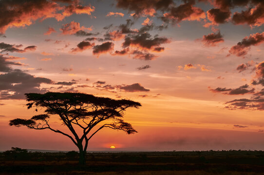 Beautiful african sunset.