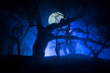 Spooky dark landscape showing silhouettes of trees in the swamp on misty night. Night mysterious...