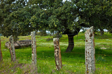 Naklejka premium Parque Natural Sierra de Andújar, Jaen, Andalucía, España
