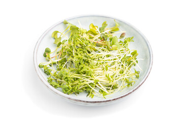 Ceramic plate with microgreen sprouts of radish and cress isolated on white background. Side view.