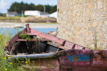 Old, abandoned wooden red boat with wild flowers growing on it. Morbihan, Brittany, France.