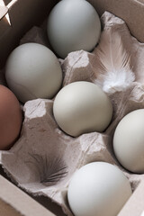 organic eggs in the box