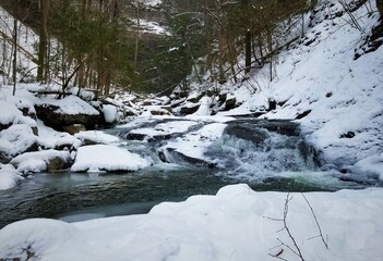 river in the winter forest