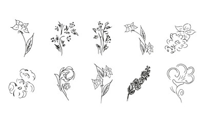 10 hand-drawn blossom wildflowers. Big collection of 10 hand-drawn roses. Big floral botanical set. Isolated on white background. Doodle simple vector collection.