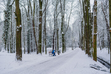 Winter Alley Covered with Cnow in Park Outdoors